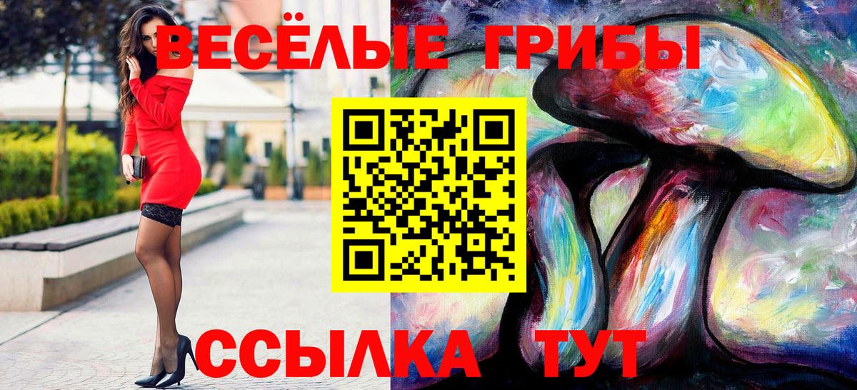 Галлюциногенные грибы мицелий  Вход с VPN  Псилоцибиновые грибы мицелий  Горно-Алтайск 