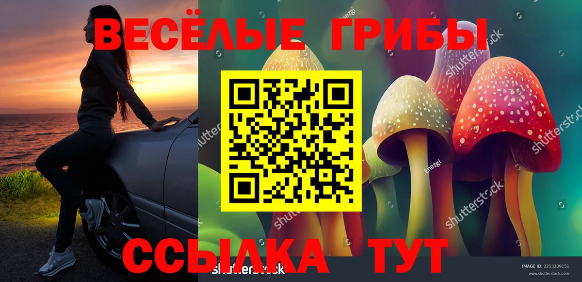 Псилоцибиновые грибы MAGIC MUSHROOMS Горно-Алтайск
